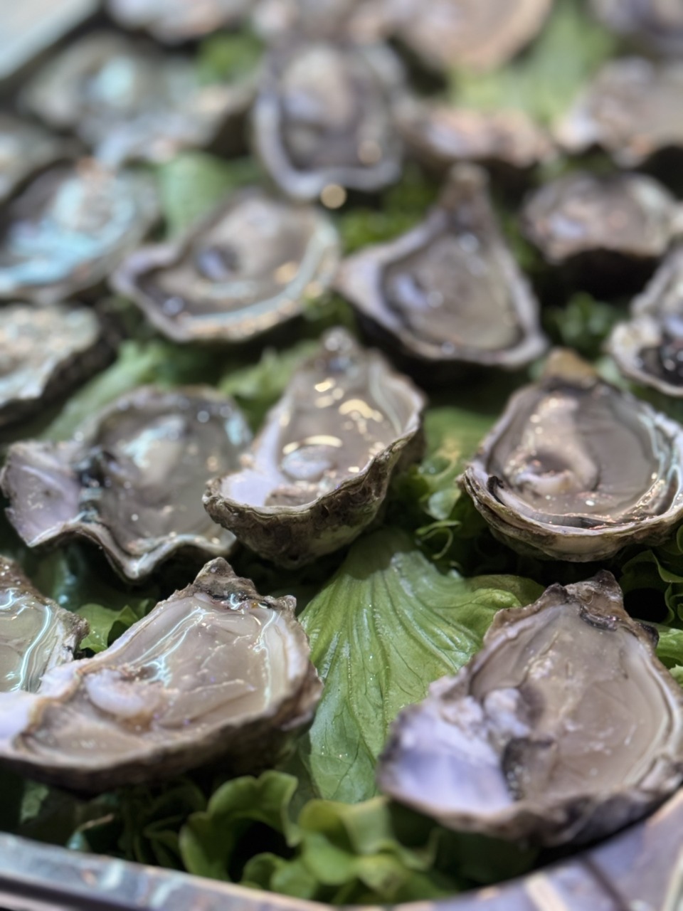 Mangi quanto vuoi, senza sprechi: la formula buffet di Sushi Fan Camporosso