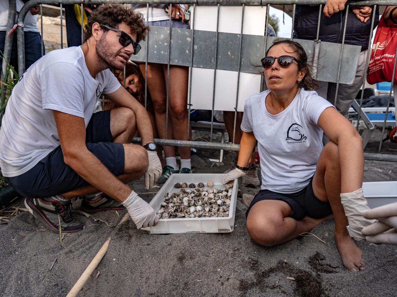 Nidi di tartarughe a Riva Ligure. Delfini del Ponente:  “Grazie di cuore a Giorgio Giuffra e Francesco benza per la loro presenza costante”
