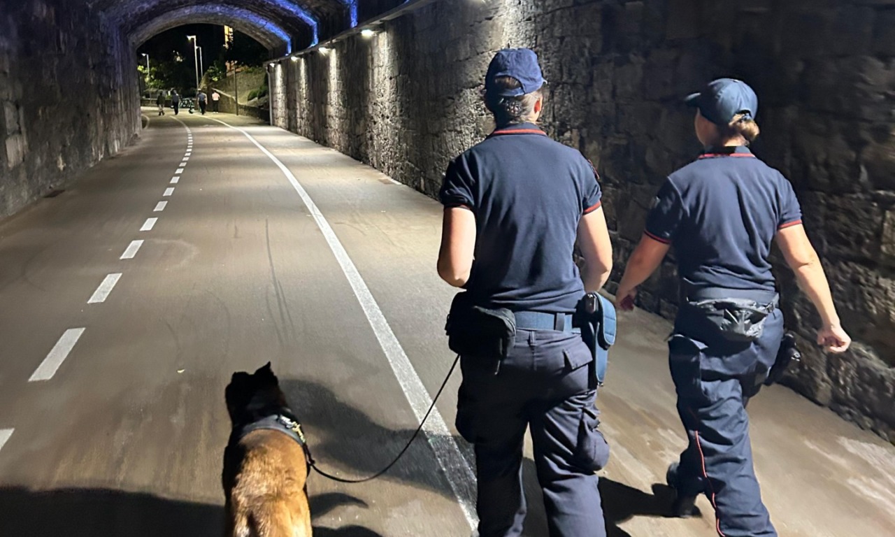 Guida in stato di ebbrezza, droga e botte per la musica alta. Il weekend “caldo” dei Carabinieri