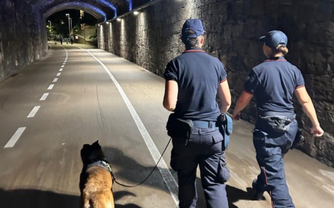Guida in stato di ebbrezza, droga e botte per la musica alta. Il weekend “caldo” dei Carabinieri