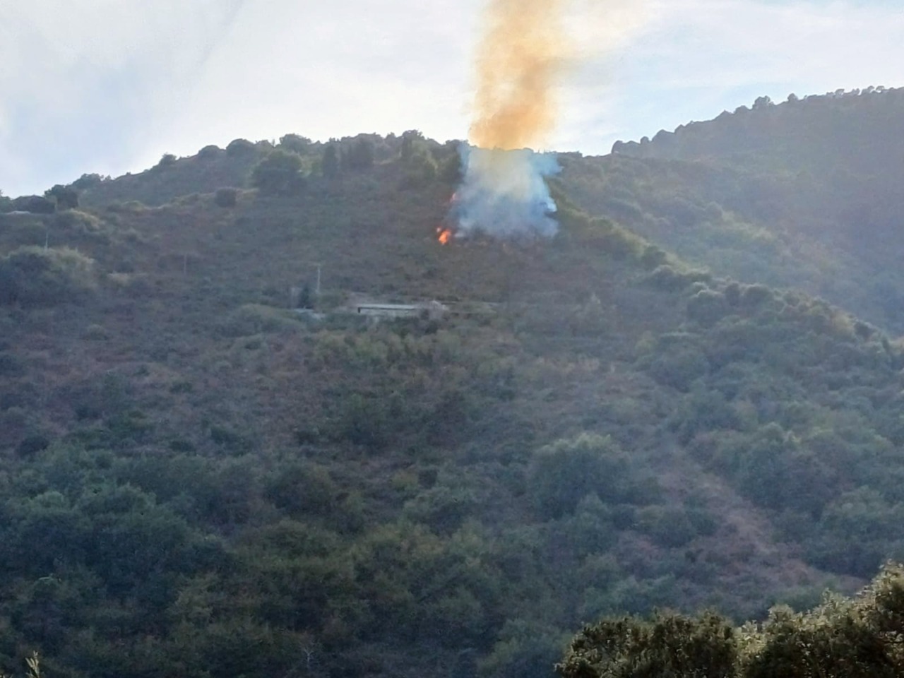 Incendio nelle alture sanremesi