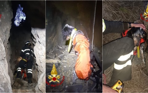 Cane precipita in un pozzo a Molini di Triora, salvato dai vigili del fuoco