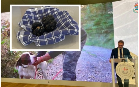 Per tre giorni sarà il ponente ligure la patria del tartufo
