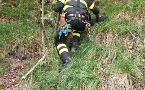 Auto fuori strada fa un volo di 10 metri, due feriti
