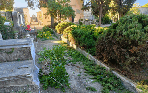 In fase di conclusione i lavori di manutenzione nei sette cimiteri cittadini