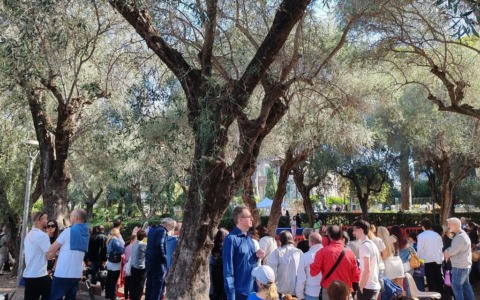 Bordighera Dog Show, successo per l’edizione 2025: 93 cani e tante attività collaterali