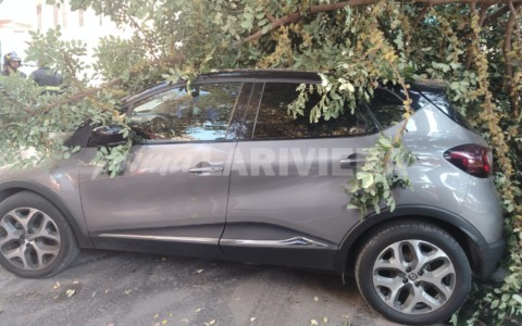 Per due volte un albero le crolla sull’auto, la seconda vettura ha solo due settimane