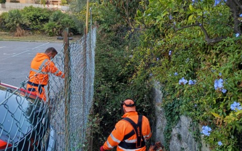 Pulizia dei corsi d’acqua e manutenzione del verde