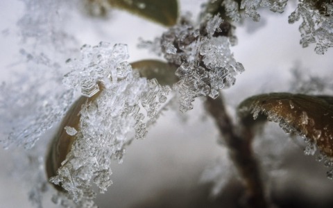 Ondata di gelo: a Sanremo e sulla costa ligure di Ponente è comparsa la neve
