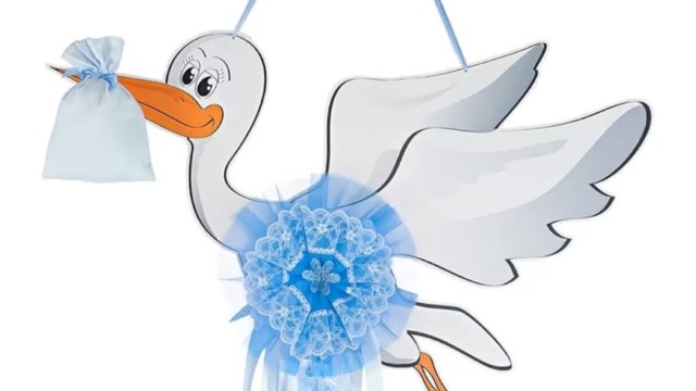 Stephan e Anneka festeggiano nascita del loro ottavo figlio