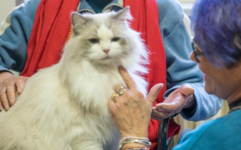 Gatti al Cottolengo per portare calma e stimoli positivi agli ospiti