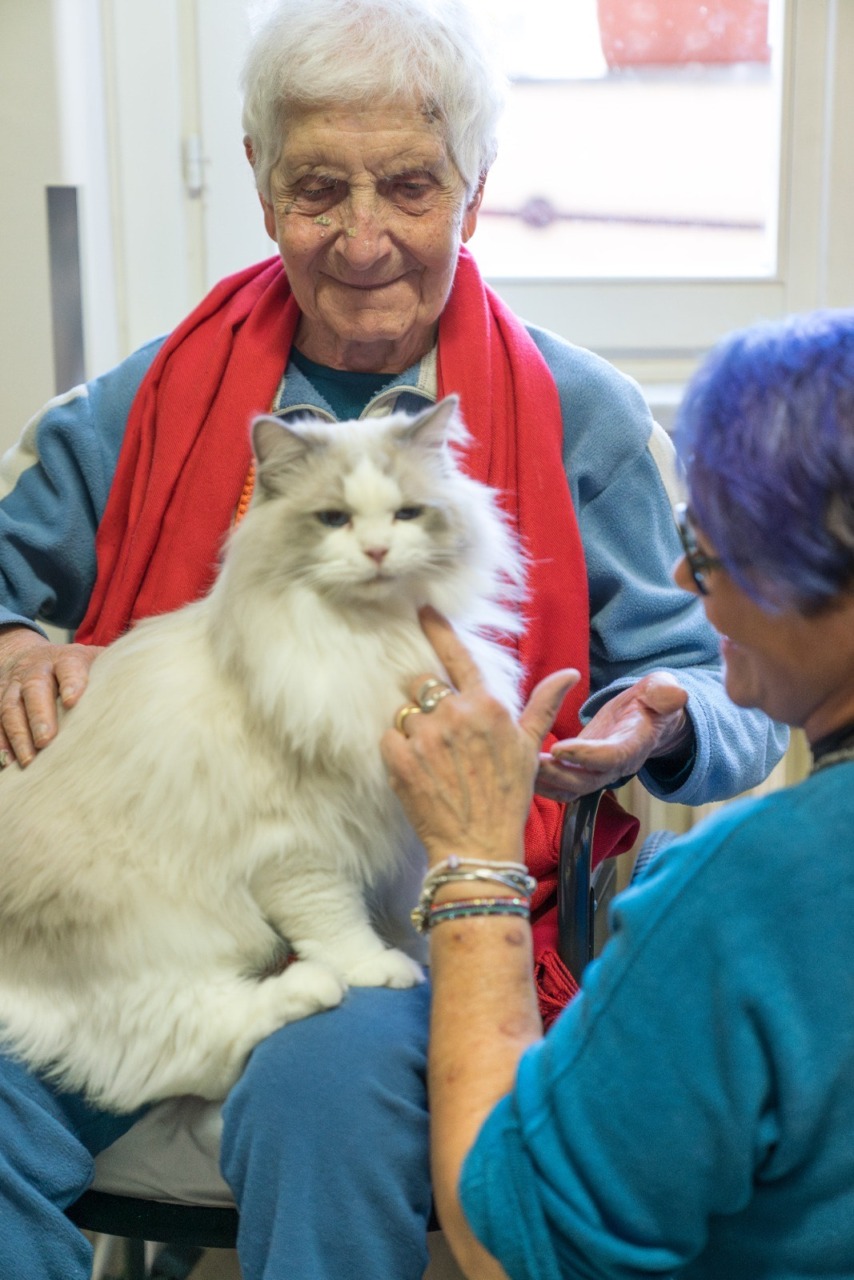 Gatti al Cottolengo per portare calma e stimoli positivi agli ospiti