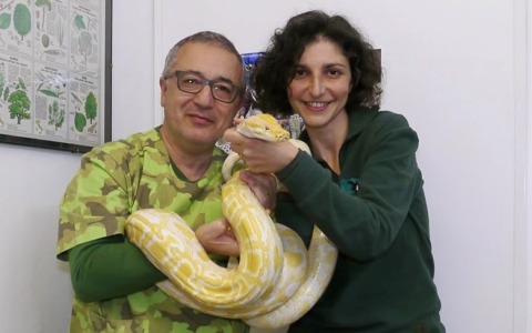 Pitone albino di 4 metri abbandonato in Autogrill e affidato a veterinario ex consigliere comunale Riello. La storia
