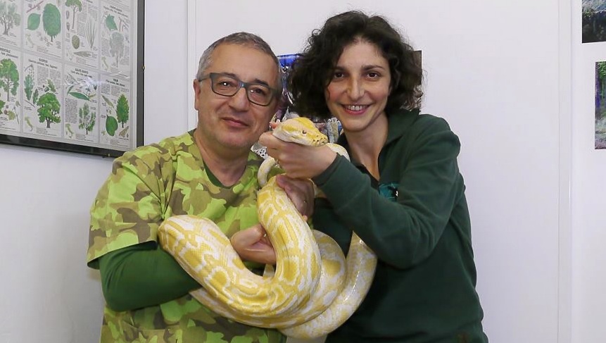Pitone albino di 4 metri abbandonato in Autogrill e affidato a veterinario ex consigliere comunale Riello. La storia