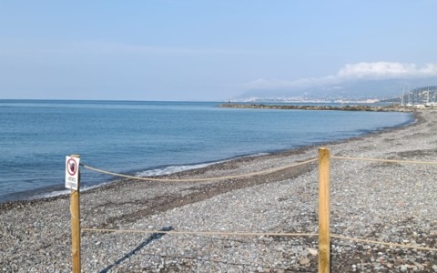 Una giornata di pulizia e osservazione spiaggia per gli alunni
