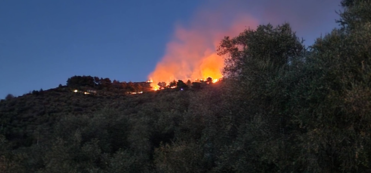 Bruciano le alture di Civezza: vigili del fuoco e volontari in azione