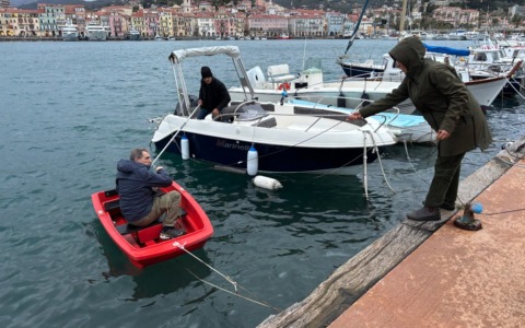 Delfini nel porto di Oneglia: parte il monitoraggio acustico