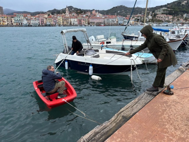 Delfini nel porto di Oneglia: parte il monitoraggio acustico