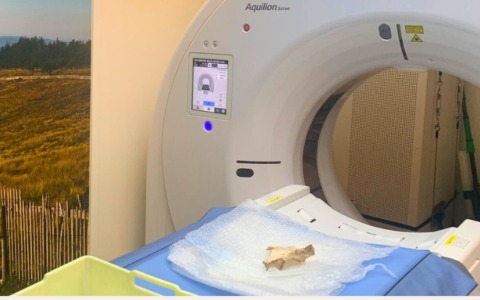 L’osso di una donna di 230.000 anni fa nella grotta del Principe