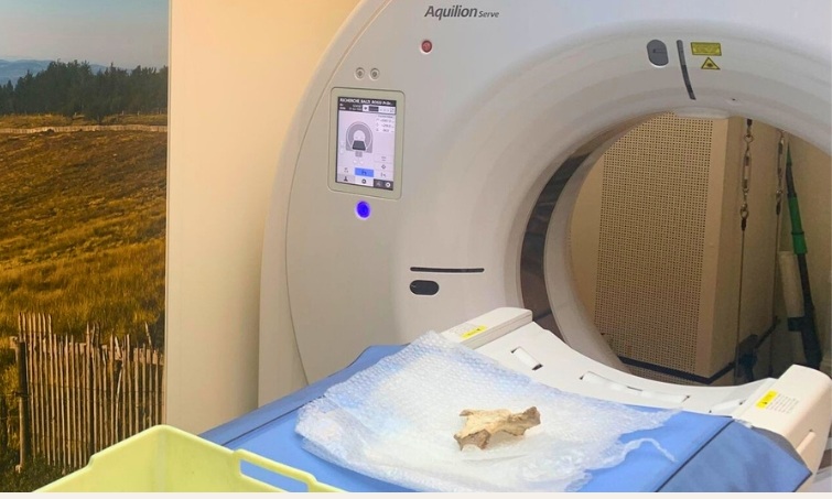 L’osso di una donna di 230.000 anni fa nella grotta del Principe