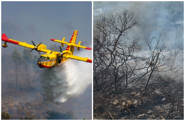 Vasto incendio boschivo sulle alture di Sanremo, allertati elicottero e Canadair – LE FOTO