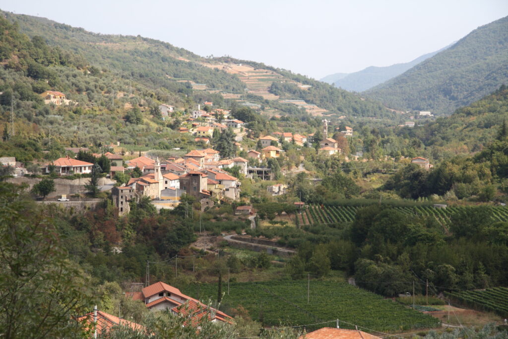 Enoturismo, Ranzo is Wine chiude il 2025 in crescita