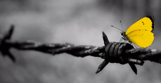 Giorno della Memoria: affissioni pubbliche a Diano Marina