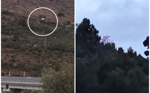 Allarme per quello che sembra un parapendio incastrato tra gli alberi di Pompeiana. Le foto