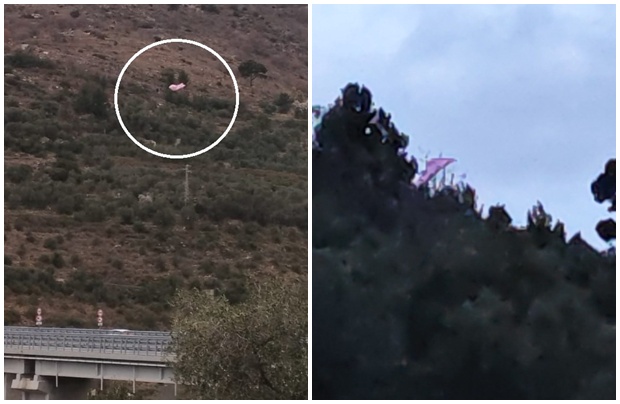 Allarme per quello che sembra un parapendio incastrato tra gli alberi di Pompeiana. Le foto