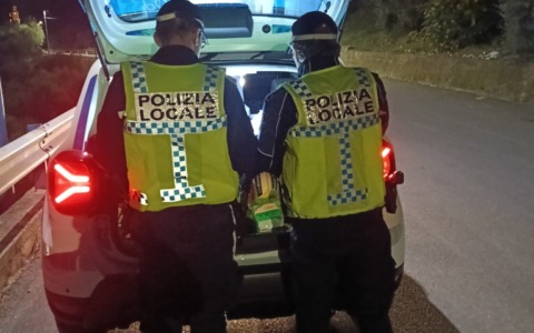 Notifiche digitali per le multe della Polizia Locale