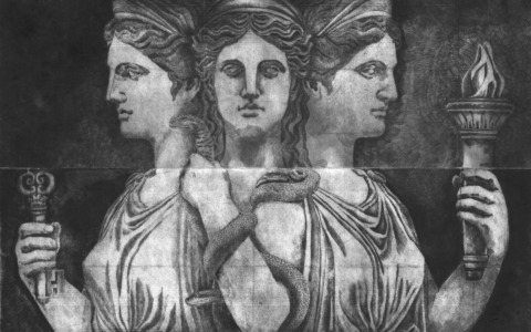 “Abitata da un grido”. A Diano Marina la mostra di Stefania Loreto