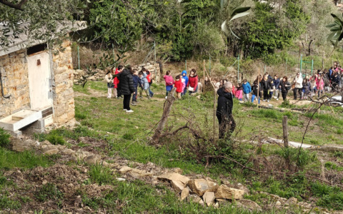 Dalla Terra alla Tavola: alunni a lezione di “Frumento”