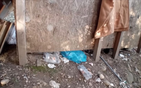 Degrado in frazione Magauda a Camporosso nell’area del punto di raccolta rifiuti