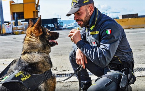 Sequestrate 194 borse contraffatte dalla Polizia di Stato. E i cani Hura e Teo della Finanza nelle piazze dello spaccio