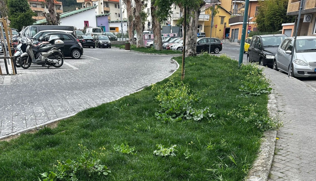 SiAmo Camporosso: “Aiuole nel degrado e parcheggi eliminati, scelta sbagliata”