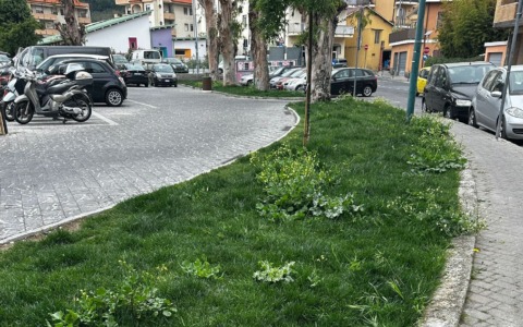 SiAmo Camporosso: “Aiuole nel degrado e parcheggi eliminati, scelta sbagliata”