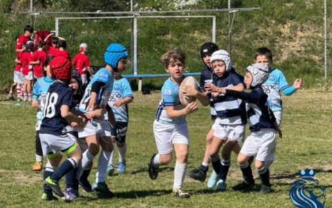 Leoncini biancazzurri protagonisti alla Festa del Rugby di Imperia