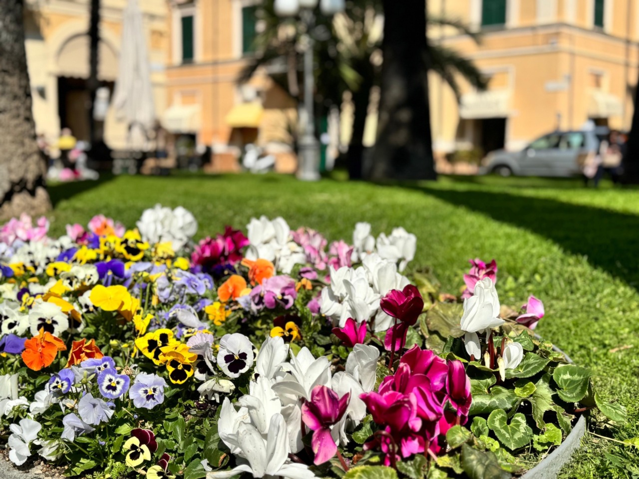 Nuovo affidamento del verde pubblico a Diano Marina
