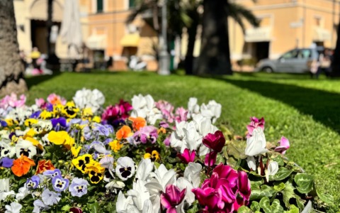 Nuovo affidamento del verde pubblico a Diano Marina