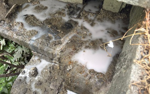Segnala uno sversamento di fogna nel torrente alla Polizia locale di Vallecrosia: “Non ce ne occupiamo noi”