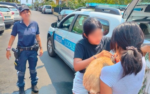 Polizia locale e Vigili del fuoco salvano  cane intrappolato