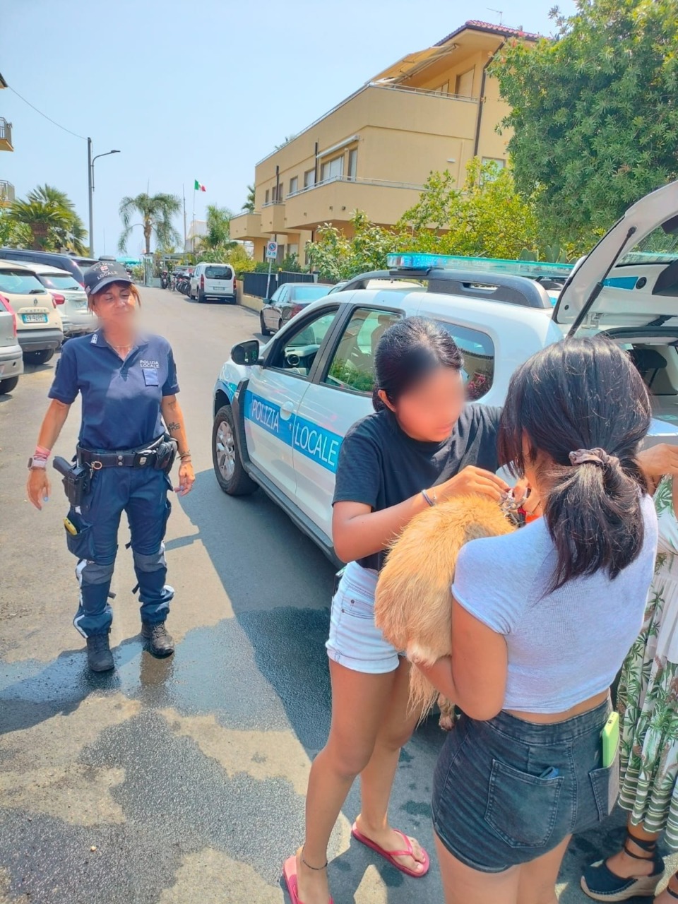 Polizia locale e Vigili del fuoco salvano  cane intrappolato