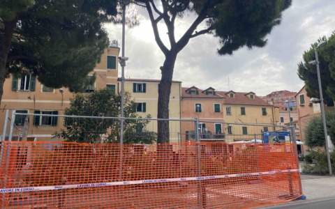 Imperia , pino pericoloso verrà rimosso