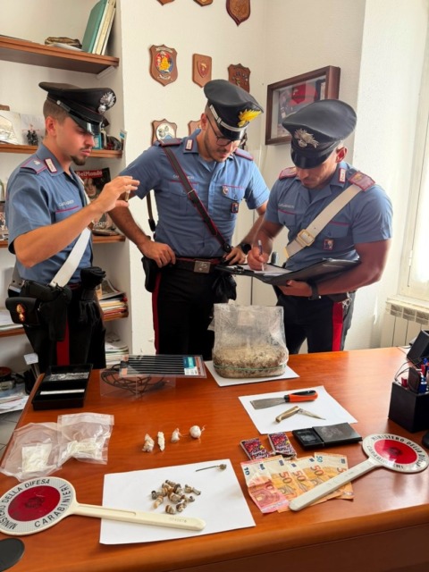 Arrestato per spaccio di droga. L’amico invece denunciato perché la coltivava