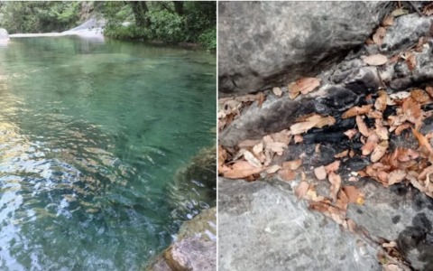 “Tamarri” sporcano e accendono un fuoco presso il rio Carne di Pigna. Il Sindaco: “Va chiuso e limitato l’accesso”