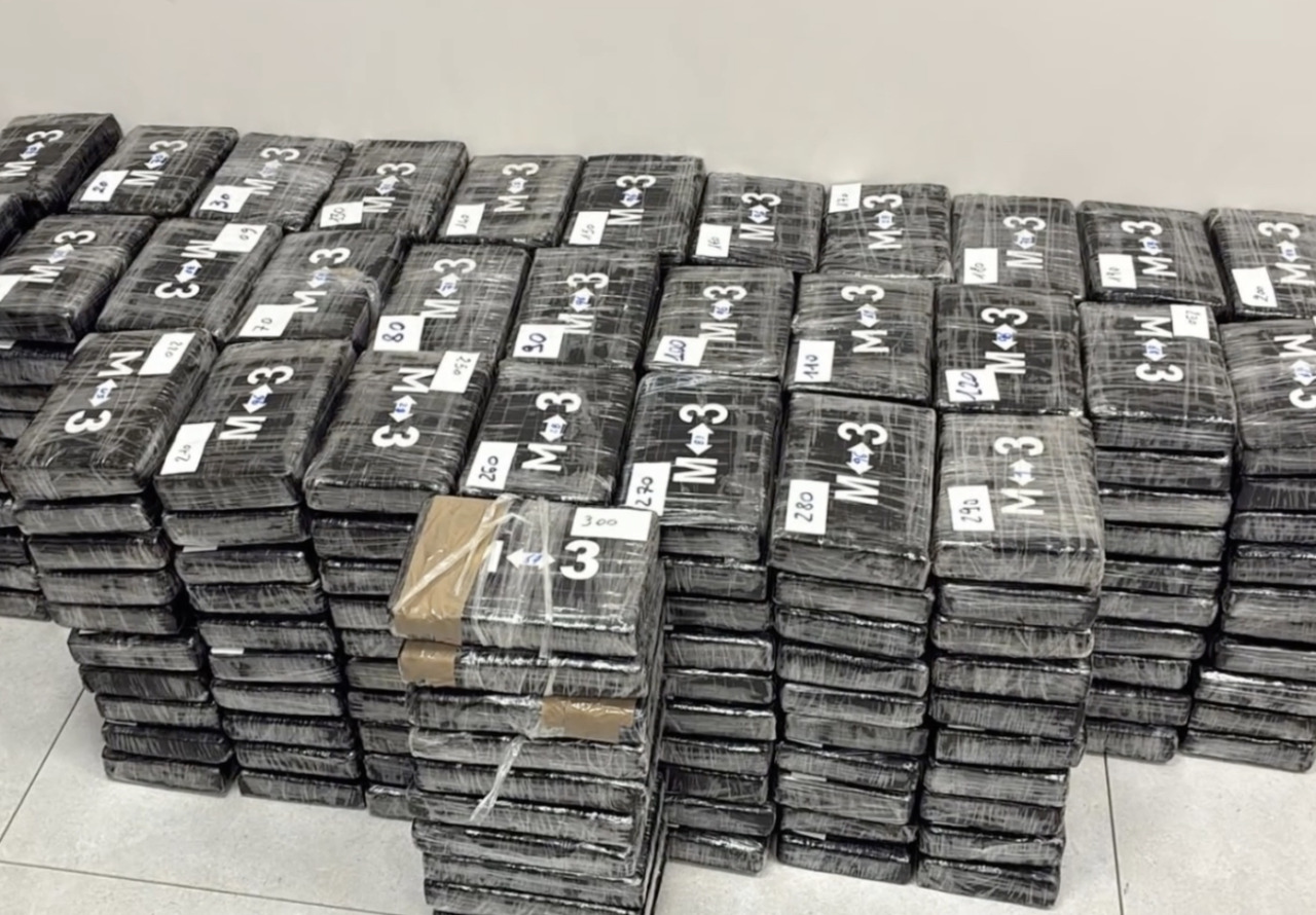 Maxi sequestro di droga, 340 kg di cocaina in un carico di platani