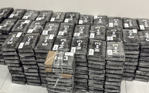 Maxi sequestro di droga, 340 kg di cocaina in un carico di platani