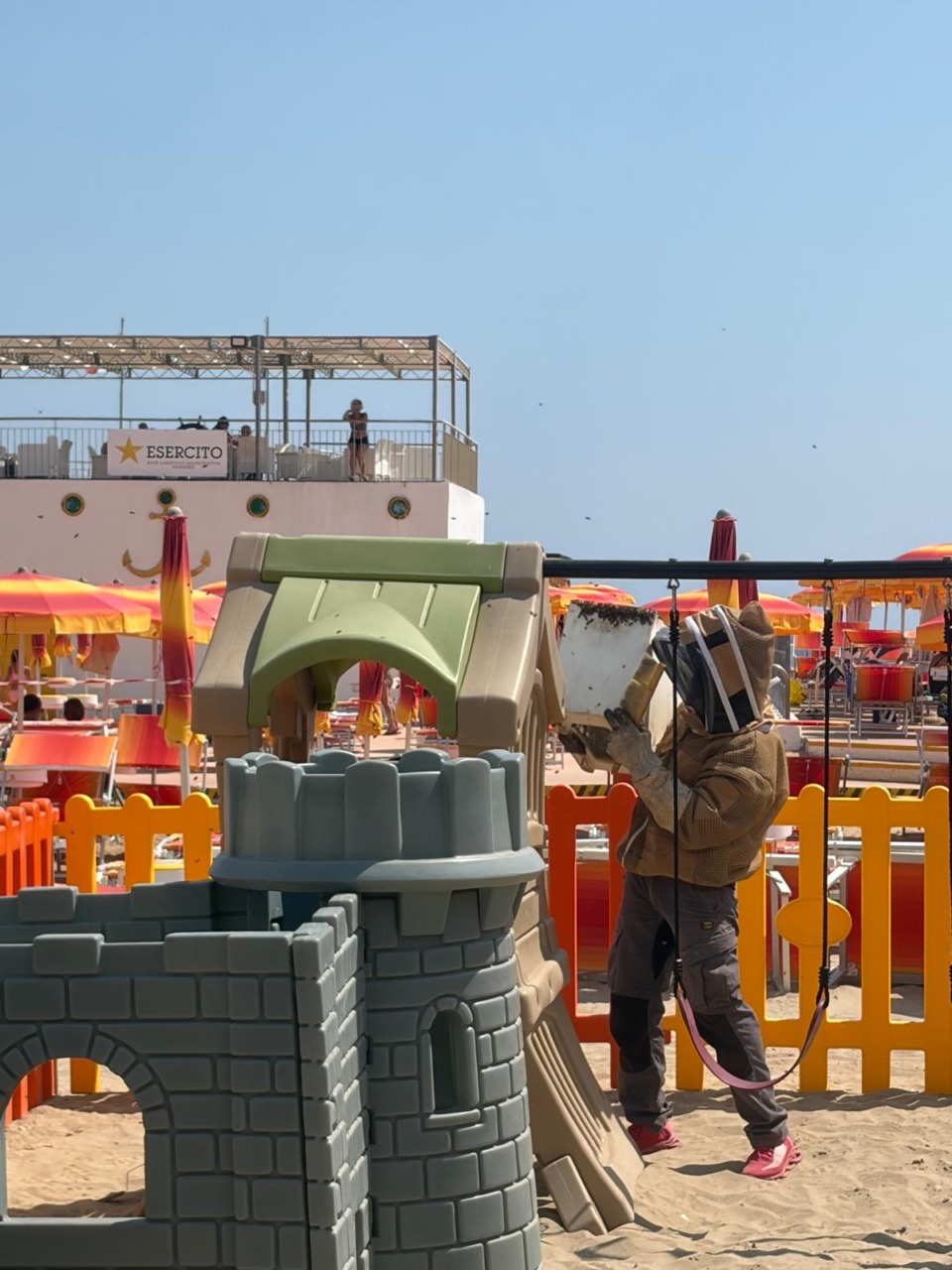 Api “invadono” i giochi per bambini alla spiaggia del Soggiorno Militare