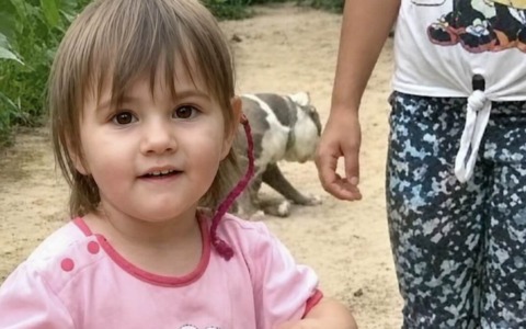 Bordighera si ferma per il funerale di Beatrice: lutto cittadino e modifiche di viabilità