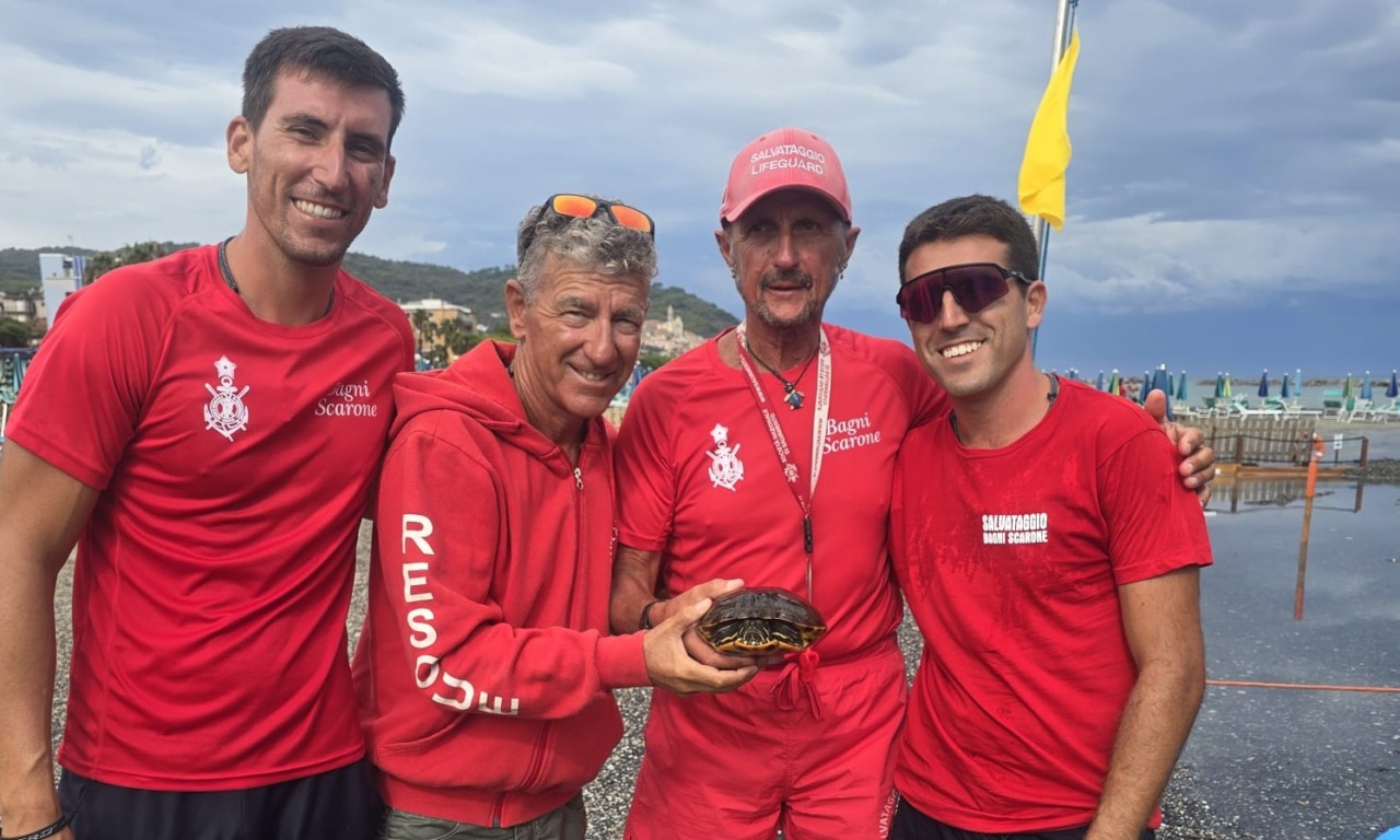 Quattro bagnini salvano in mare a Diano Marina una tartaruga… di acqua dolce
